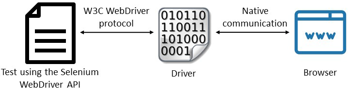 Different types of Selenium WebDriver Common Exceptions